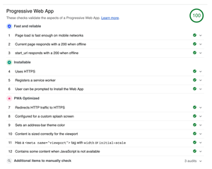 Google-Lighthouse-Bericht der Site pagexl.com mit 100/100 bewertet